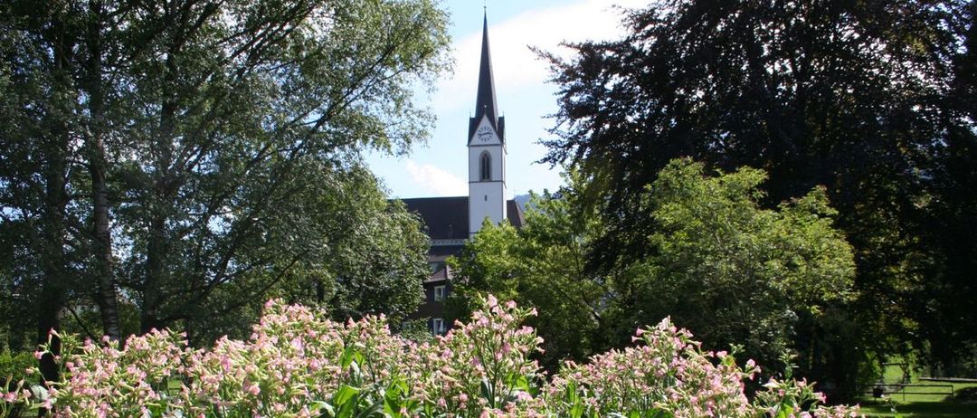 Bild enthält, Vegetation, Spire, Grass, Park, Herbal, Grove, Tree, Woodland, Garden, Green