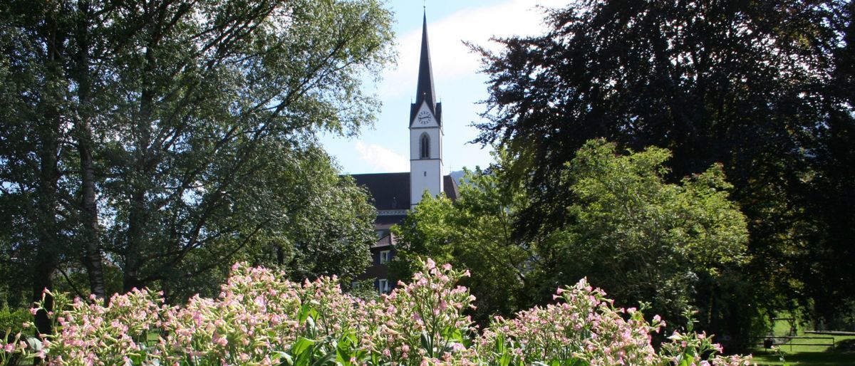 Bild enthält, Vegetation, Spire, Grass, Park, Herbal, Grove, Tree, Woodland, Garden, Green