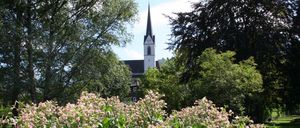 Bild enthält, Vegetation, Spire, Grass, Park, Herbal, Grove, Tree, Woodland, Garden, Green
