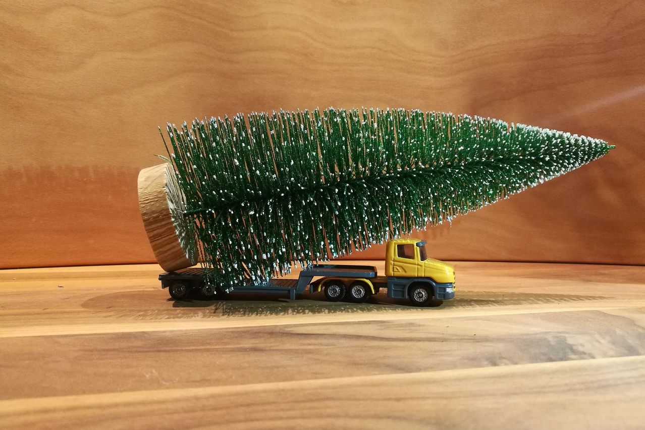 Bild enthält, Machine, Wheel, Wood, Transportation, Truck, Vehicle, Plywood