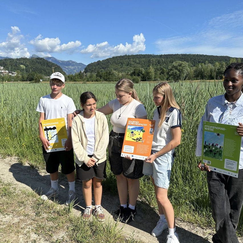 Fünf junge Menschen stehen in einem Feld und halten gelbe Plakate. Ein Plakat hat eine Zeichnung einer Heuschrecke. Sie sind von hohem Gras und Bergen umgeben.