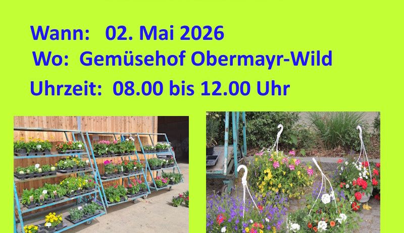 Ein Poster für einen Blumenmarkt im Gemusehof Obermayr-Wild am 2. Mai 2026 von 8:00 bis 12:00 mit Bildern von Blumenarrangements und Pflanzen.