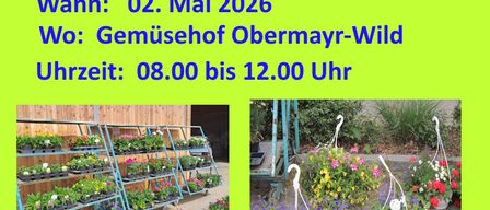 Ein Poster für einen Blumenmarkt im Gemusehof Obermayr-Wild am 2. Mai 2026 von 8:00 bis 12:00 mit Bildern von Blumenarrangements und Pflanzen.