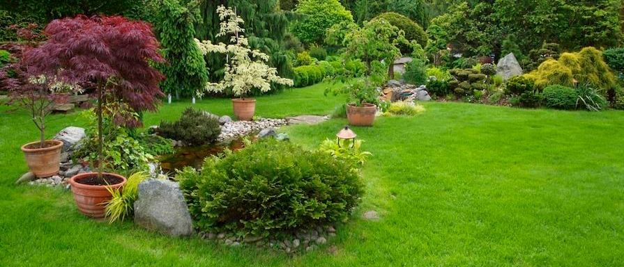 Bild enthält, Grass, Backyard, Nature, Outdoors, Yard, Garden, Lawn, Park, Tree, Vegetation