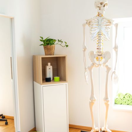 Ein Raum mit einem weißen Skelett auf einem Ständer, einem kleinen Schrank mit einem Topf und einem aufgerollten Handtuch auf der Fensterbank.