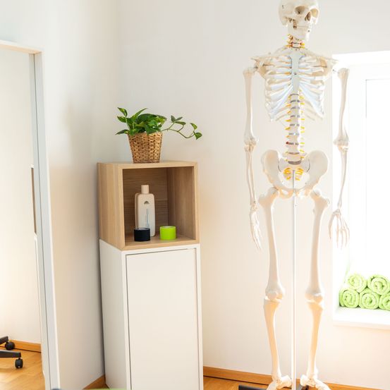 Ein Raum mit einem weißen Skelett auf einem Ständer, einem kleinen Schrank mit einem Topf und einem aufgerollten Handtuch auf der Fensterbank.