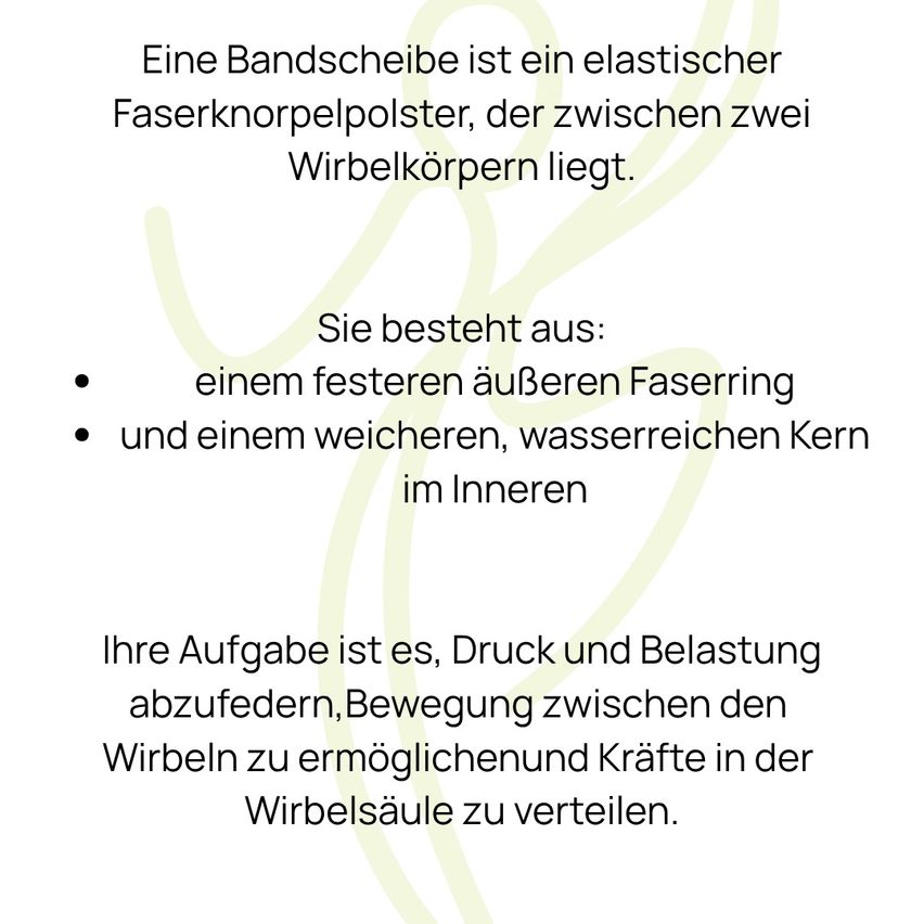 Eine Bandscheibe ist ein elastischer Faserknotenpolster, der zwischen zwei Wirbeln liegt. Sie besteht aus einem festen äußeren Faserring und einem weicheren, wasserreichen Kern im Inneren. Ihre Aufgabe ist es, Druck und Belastung abzufedern, Bewegung zwischen den Wirbeln zu ermöglichen und Kräfte in der Wirbelsäule zu verteilen.