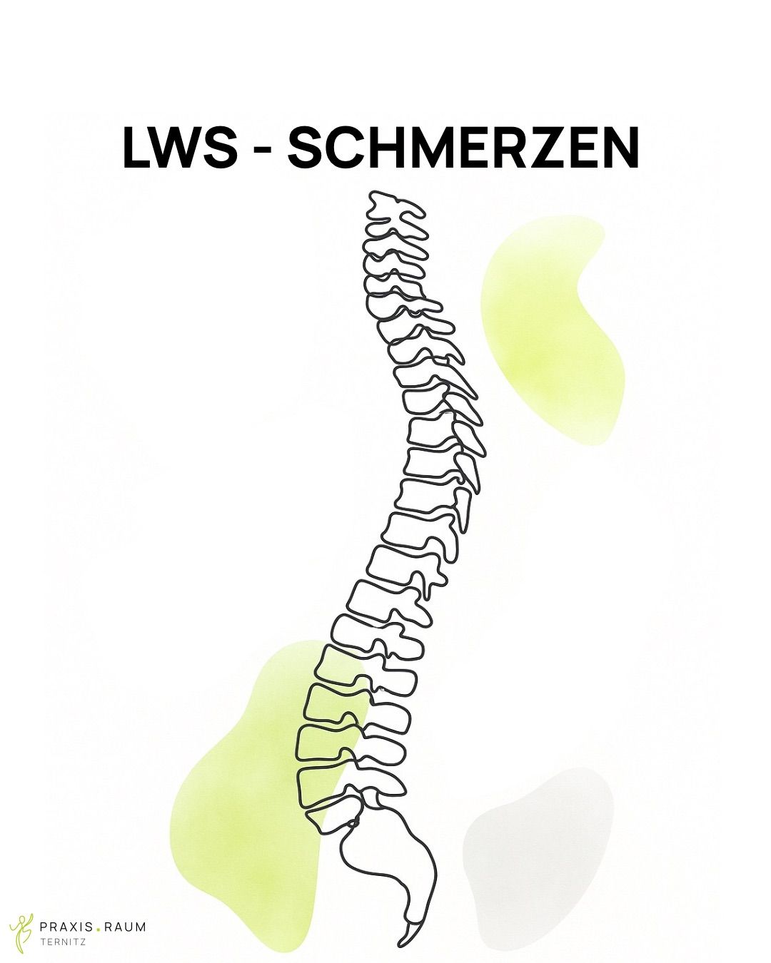 Das Bild zeigt ein Diagramm der menschlichen Wirbelsäule mit der Aufschrift 'LWS-Schmerzen'. Die Wirbelsäule ist in vertikaler Position dargestellt, wobei der Schwerpunkt auf dem unteren Rückenbereich liegt. Ein hervorgehobener Bereich zeigt eine mögliche Schmerzquelle an.