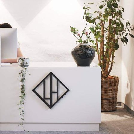 Plant, Potted Plant, Adult, Female, Person, Woman, Furniture, Table, Windowsill, Interior Design