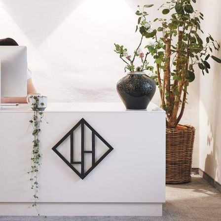Plant, Potted Plant, Adult, Female, Person, Woman, Furniture, Table, Windowsill, Interior Design