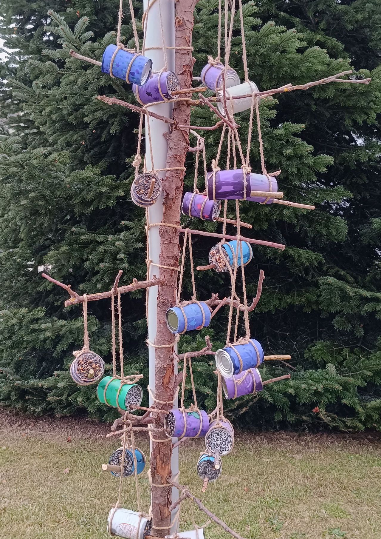 Bild enthält, Plant, Tree, Outdoors, Vegetation, Play Area, Grass