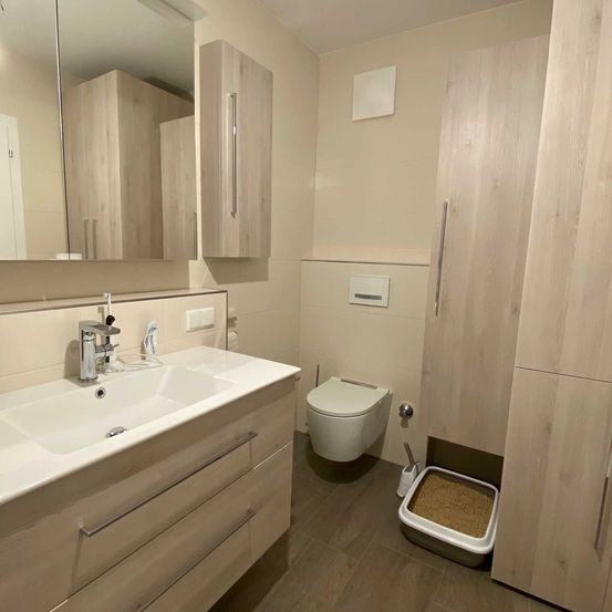 Indoors, Interior Design, Sink, Sink Faucet, Bathroom, Toilet, Corner