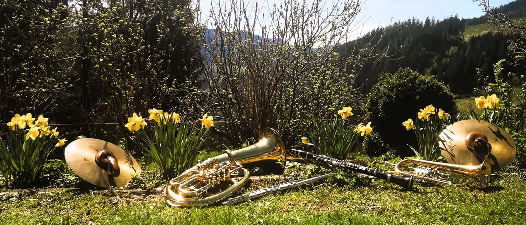 Ein goldenes Euphonium, eine schwarze Klarinette und eine Trompete liegen auf einem Rasen mit gelben Narzissen und kahlen Bäumen im Hintergrund.