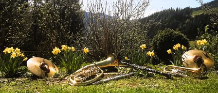 Ein goldenes Euphonium, eine schwarze Klarinette und eine Trompete liegen auf einem Rasen mit gelben Narzissen und kahlen Bäumen im Hintergrund.