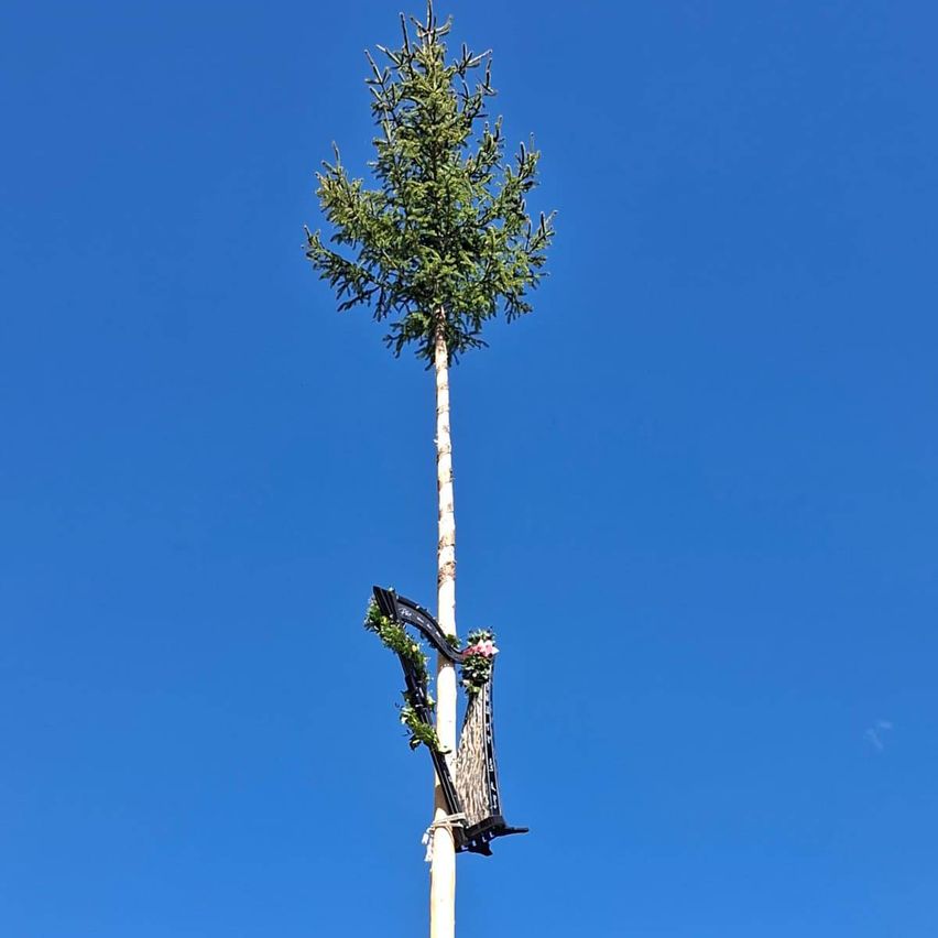 Ein hoher Baum mit einer mit Blumen verzierten Harfe steht gegen einen blauen Himmel. Die Harfe ist am Baumstamm befestigt.
