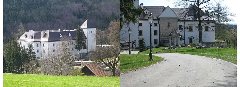 Neighborhood, City, Grass, Building, Suburb, House, Housing, Villa, Outdoors, Street