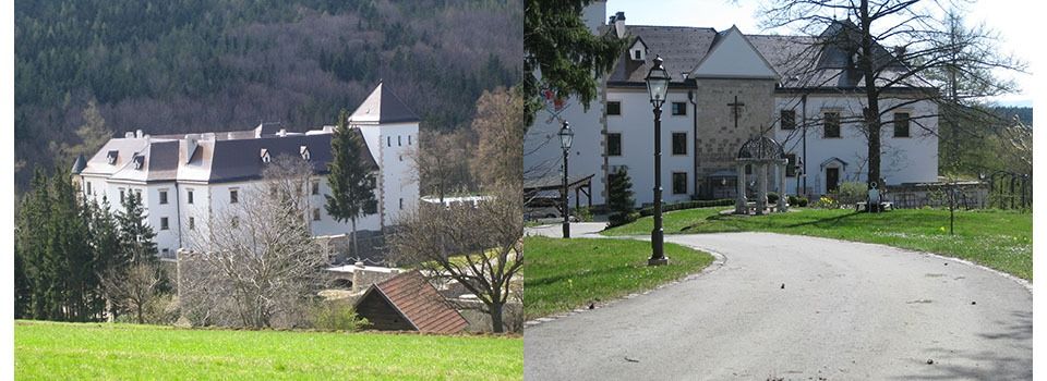 Neighborhood, City, Grass, Building, Suburb, House, Housing, Villa, Outdoors, Street