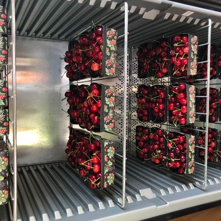 Bild enthält, Food, Fruit, Plant, Produce, Box, Device, Appliance, Electrical Device, Refrigerator