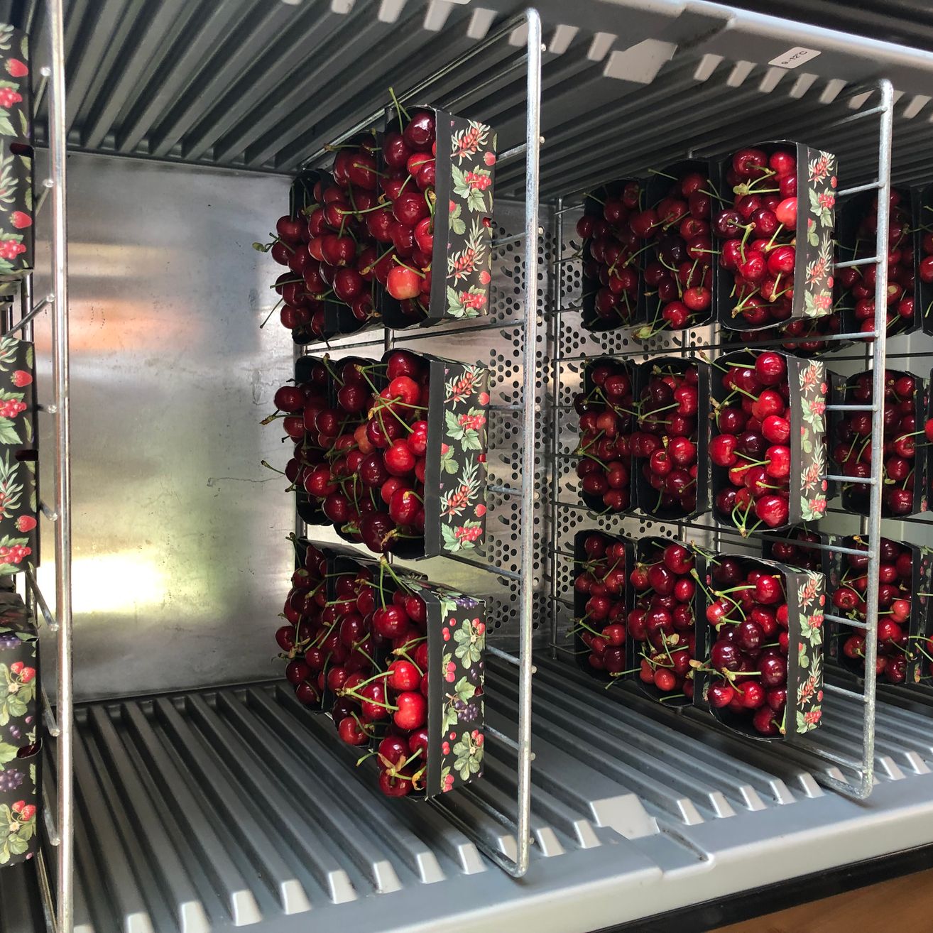 Bild enthält, Food, Fruit, Plant, Produce, Box, Device, Appliance, Electrical Device, Refrigerator