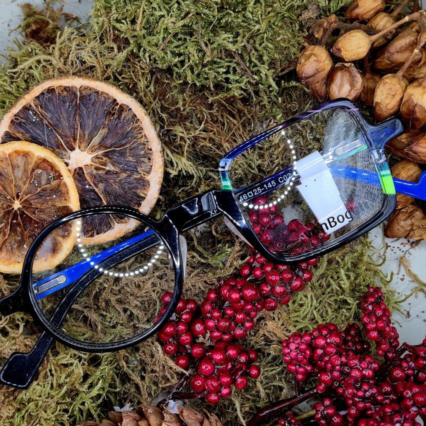 Ein Paar Brille mit blauen Bügeln liegt auf einem Bett aus Moos, getrockneten Zitrusscheiben und roten Beeren. Die Gläser sind klar mit einem teilweisen Blick auf einen blauen Brillenetui.