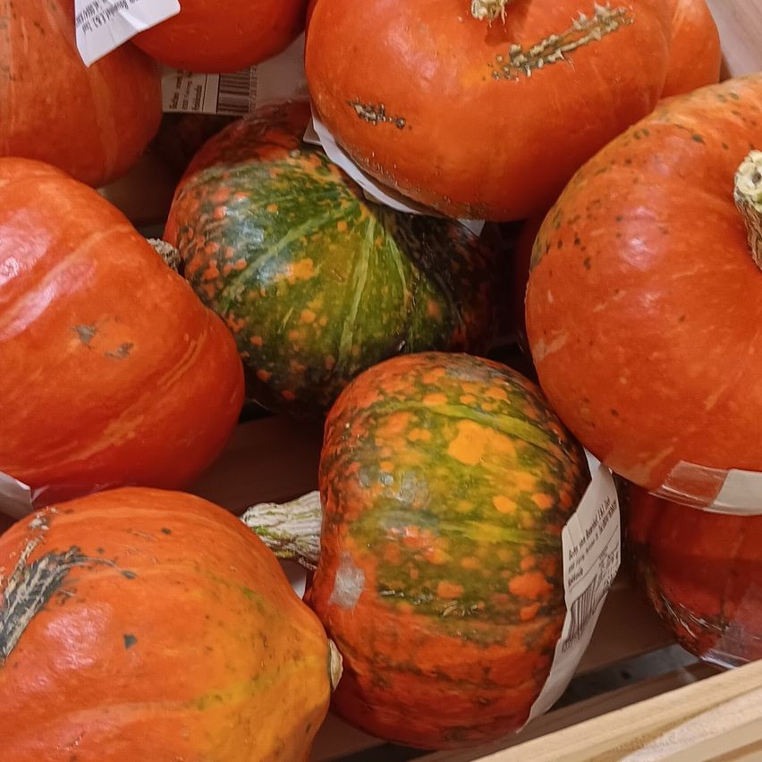 Bild enthält, Food, Plant, Produce, Squash, Vegetable, Pumpkin, Box