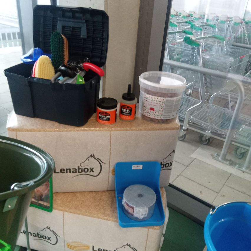 A black toolbox with various tools inside is on top of a cardboard box with the word Lenabox. A bucket is on the left side. Two jars and a plastic container are on top of the cardboard box. A shopping cart is behind the glass window.
