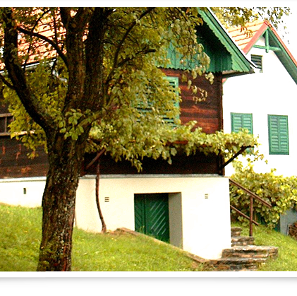 v1_migrated_image_5246197