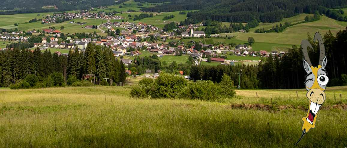 Luftaufnahme eines üppigen grünen Tals mit zahlreichen Häusern und einem dichten Wald, umgeben von Hügeln.