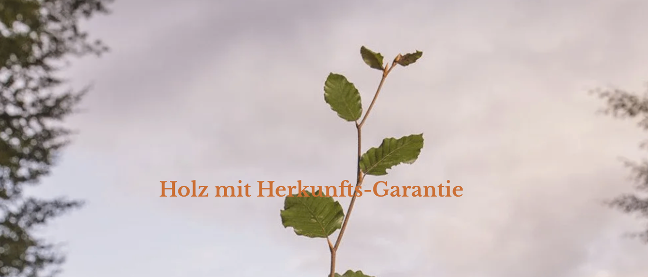 Bild enthält, Leaf, Plant, Vegetation, Tree, Nature, Outdoors, Scenery, Woodland, Indoors, Interior Design