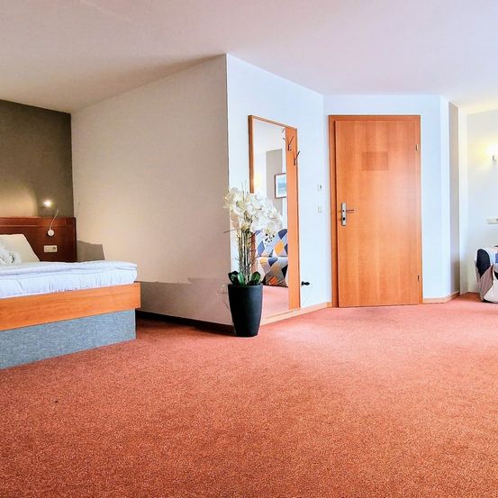 Ein Zimmer mit einem Bett, einer Holztür, einem Spiegel und einem Blumentopf. Der Raum hat einen Teppichboden und weiße Wände.