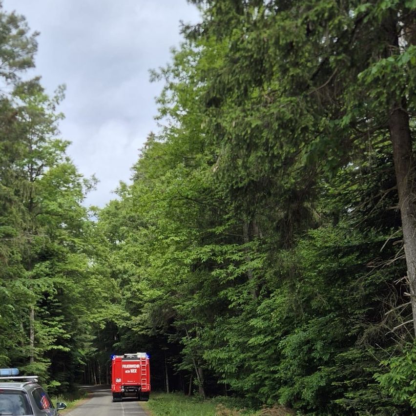 Ein roter Feuerwehrwagen steht am Straßenrand umgeben von Bäumen. In der Ferne ist ein weiteres Auto zu sehen.