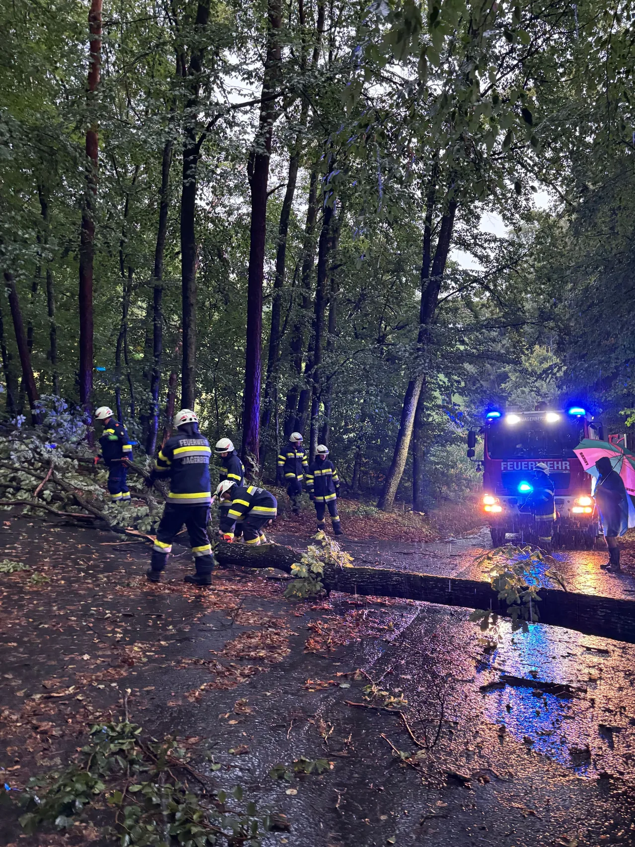 Feuerwehrleute in Schutzkleidung räumen einen umgestürzten Baum von einer Straße in einem Wald. Ein Feuerwehrauto mit blinkenden blauen Lichtern ist in der Nähe geparkt.