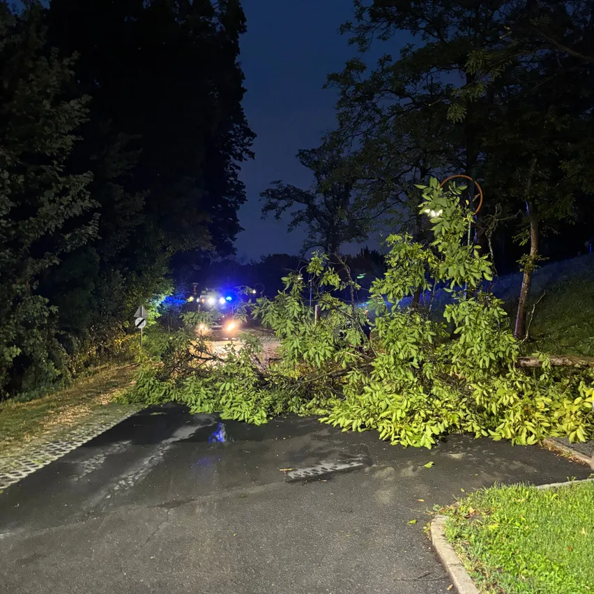 Ein umgestürzter Baum blockiert eine Straße bei Nacht, mit blinkenden Notfalllichtern im Hintergrund.