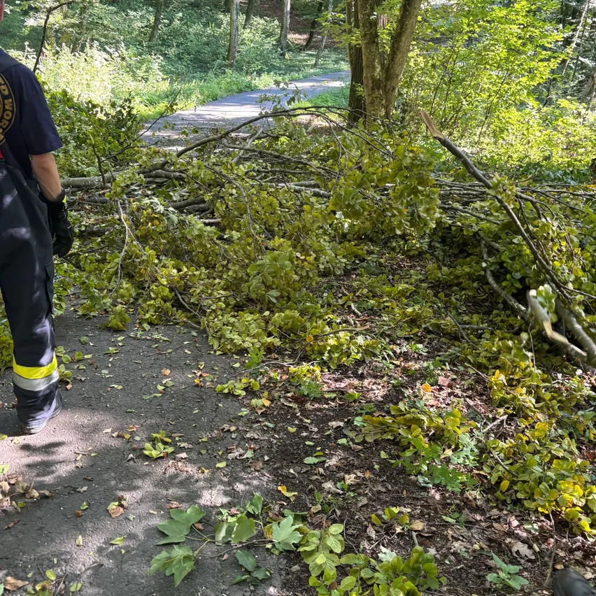 Ein Arbeiter in Uniform steht auf einem Pfad mit umgestürzten Ästen und Blättern, wahrscheinlich nach einem Sturm.