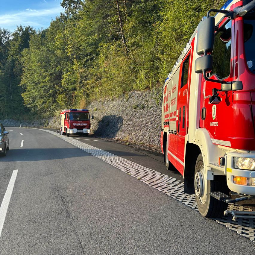 Ein roter Feuerwehrwagen steht am Straßenrand, während ein Auto vorbeifährt.