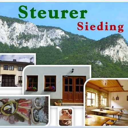 Eine Collage mit Bergen, Häusern, Essen und einem Bären. Die Wörter Steuer Siedling erscheinen in Rot. Es gibt ein Bild eines Bären mit einem Buch und eine Collage von Essen. Es gibt ein Haus mit Tür und Fenstern.