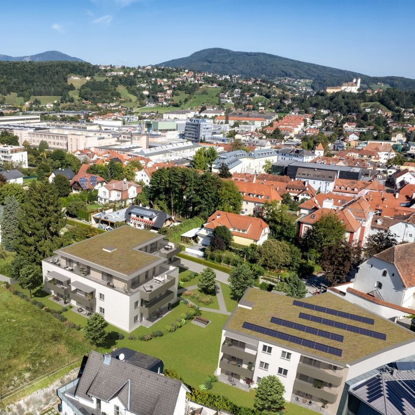 Aerial view of a suburban neighborhood with multiple buildings, some with solar panels on the roofs, set against a backdrop of mountains and a clear sky.