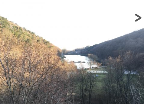 Ein Blick auf einen See mit einigen Bäumen und Pflanzen darum herum. Der See ist von einem Berg umgeben, auf dem einige Bäume stehen.