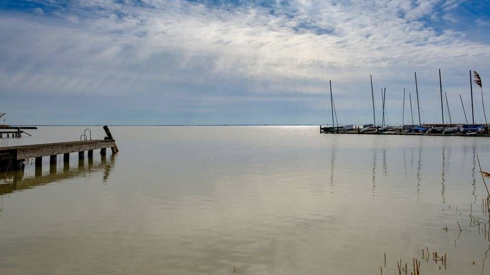 v1_migrated_image_11103449