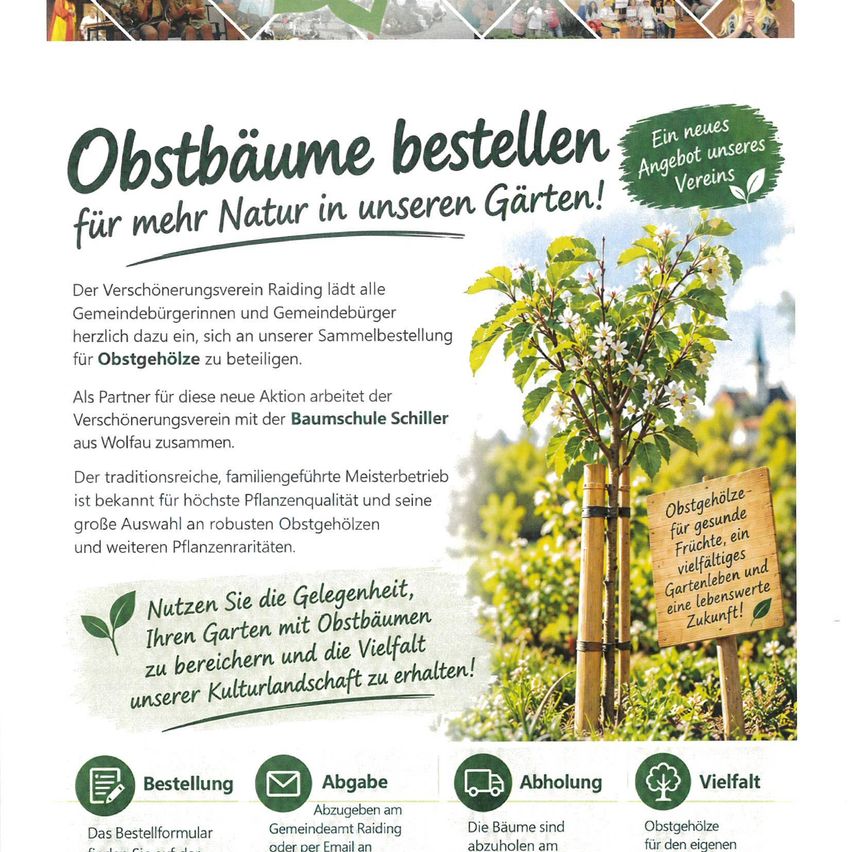 Ein Plakat für eine Baumpflanzaktion in Raiding, Österreich, mit einem Baum und einem Schild, das 'Obstbäume für gesunde Früchte, ein vielfältiges und nachhaltiges Gartenleben!' besagt.