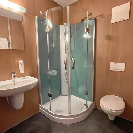 Ein Badezimmer mit einer Glasdusche, einem weißen Waschbecken und einer Toilette. Die Wände sind braun, und es gibt einen Spiegel und eine Lampe über dem Waschbecken.