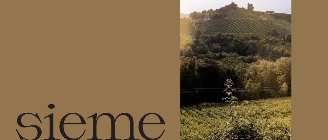 Einladung an Freunde am 18. Juli 2026 im Weingut Oberer Germruth. Das Bild zeigt eine Weinberglandschaft.