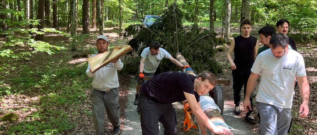 Eine Gruppe von Menschen in einer Waldlichtung entfernt einen umgestürzten Baum. Ein Mann hält ein großes Stück Holz, während andere beim Ziehen eines Baumstamms helfen.