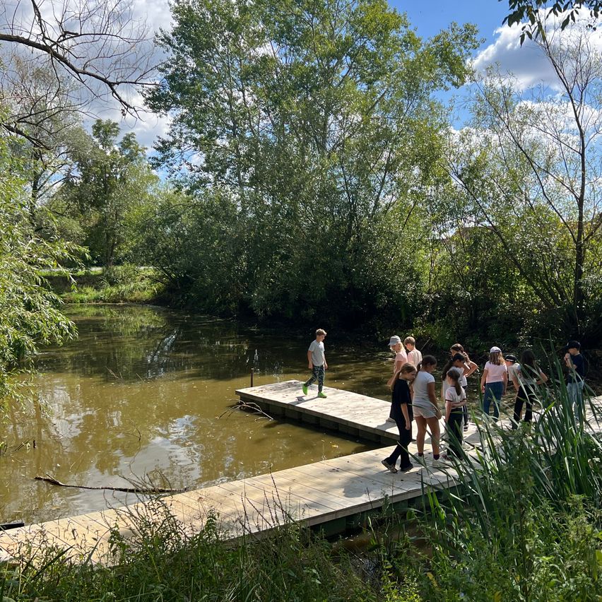Eine Gruppe von Menschen, einschließlich Kindern, geht auf einem hölzernen Steg über einen ruhigen Fluss, umgeben von üppigem Grün und einem klaren blauen Himmel.