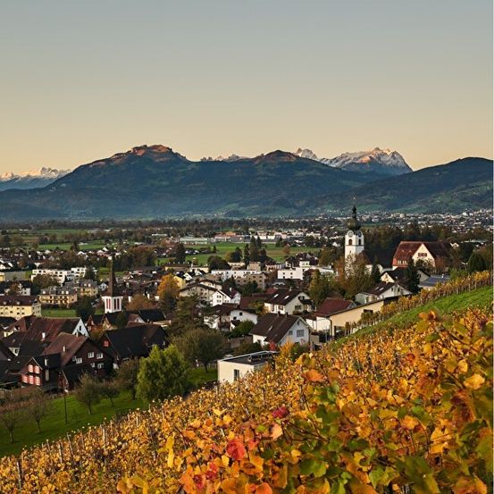 Ein malerischer Luftblick auf ein malerisches Dorf mit Häusern, einer Kirche und Bergen im Hintergrund. Das Dorf ist von Weinbergen und Bäumen umgeben.
