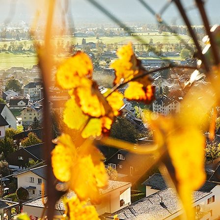 Ein Dorf mit vielen Häusern, einer Kirche mit einem Kirchturm und einem großen grünen Feld in der Ferne. Bäume und Büsche umgeben das Dorf.