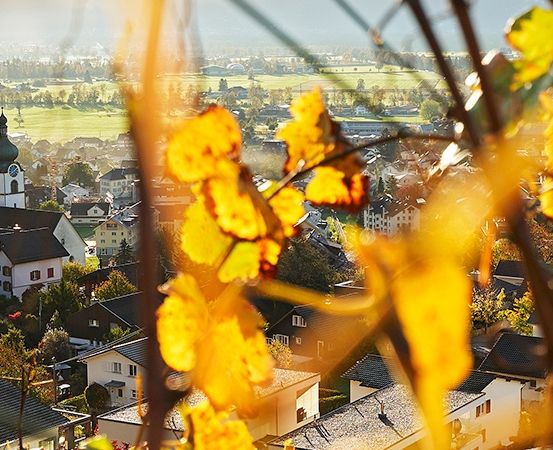 Ein Dorf mit vielen Häusern, einer Kirche mit einem Kirchturm und einem großen grünen Feld in der Ferne. Bäume und Büsche umgeben das Dorf.