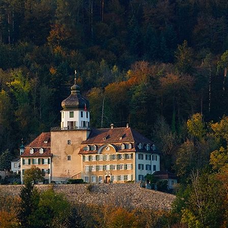 Ein großes Gebäude mit einem Turm befindet sich inmitten eines dichten Waldes. Das Gebäude ist von verschiedenen Bäumen umgeben, von denen einige Herbstlaub haben.