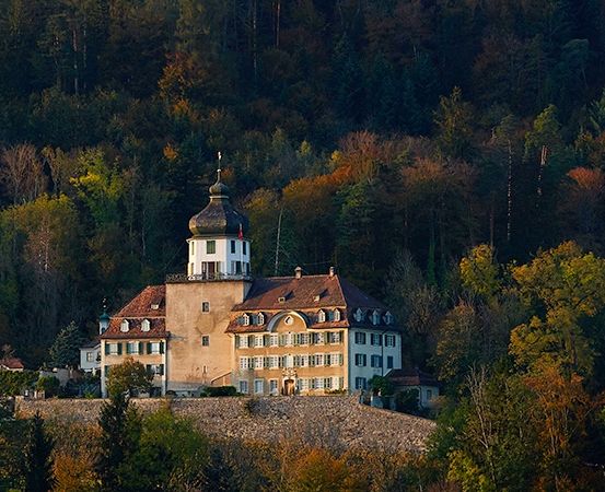 Ein großes Gebäude mit einem Turm befindet sich inmitten eines dichten Waldes. Das Gebäude ist von verschiedenen Bäumen umgeben, von denen einige Herbstlaub haben.