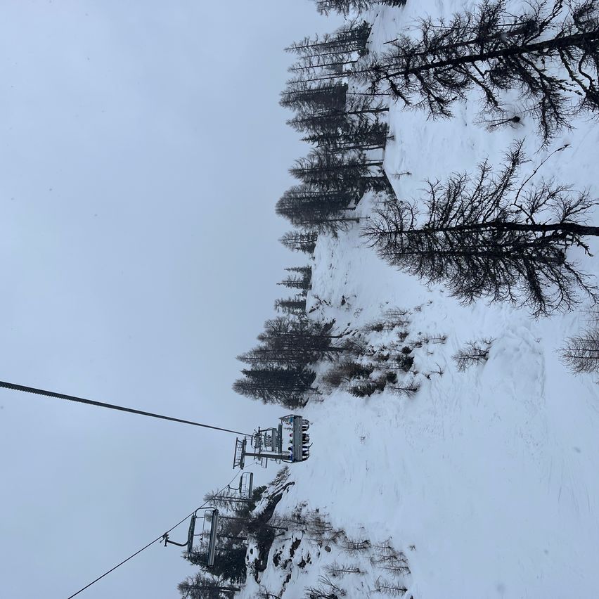 Eine Skiliftanlage in einem verschneiten Berg mit Kiefern, aus der Vogelperspektive aufgenommen. Der Himmel ist bedeckt.